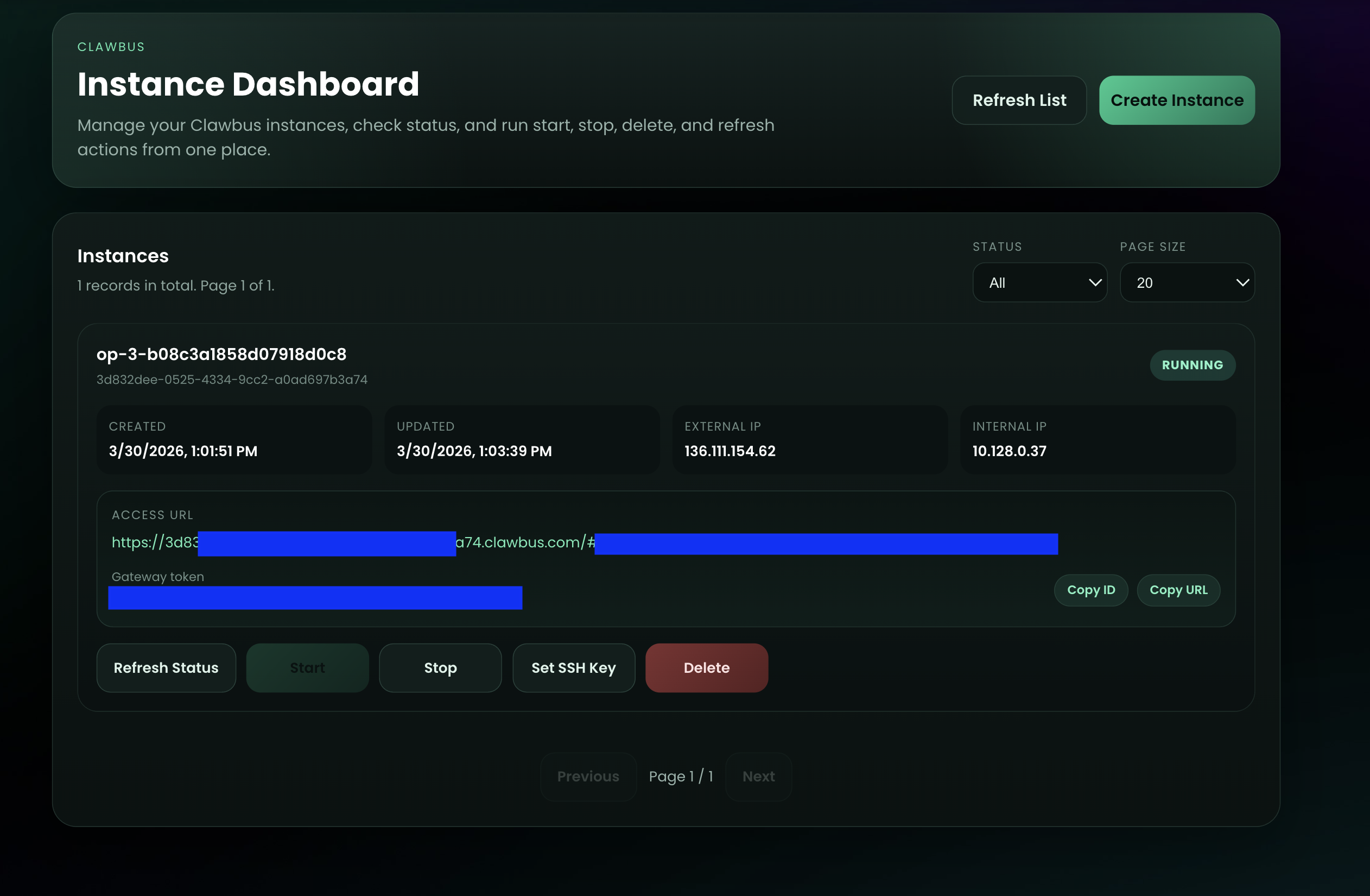 Instance list with created instance