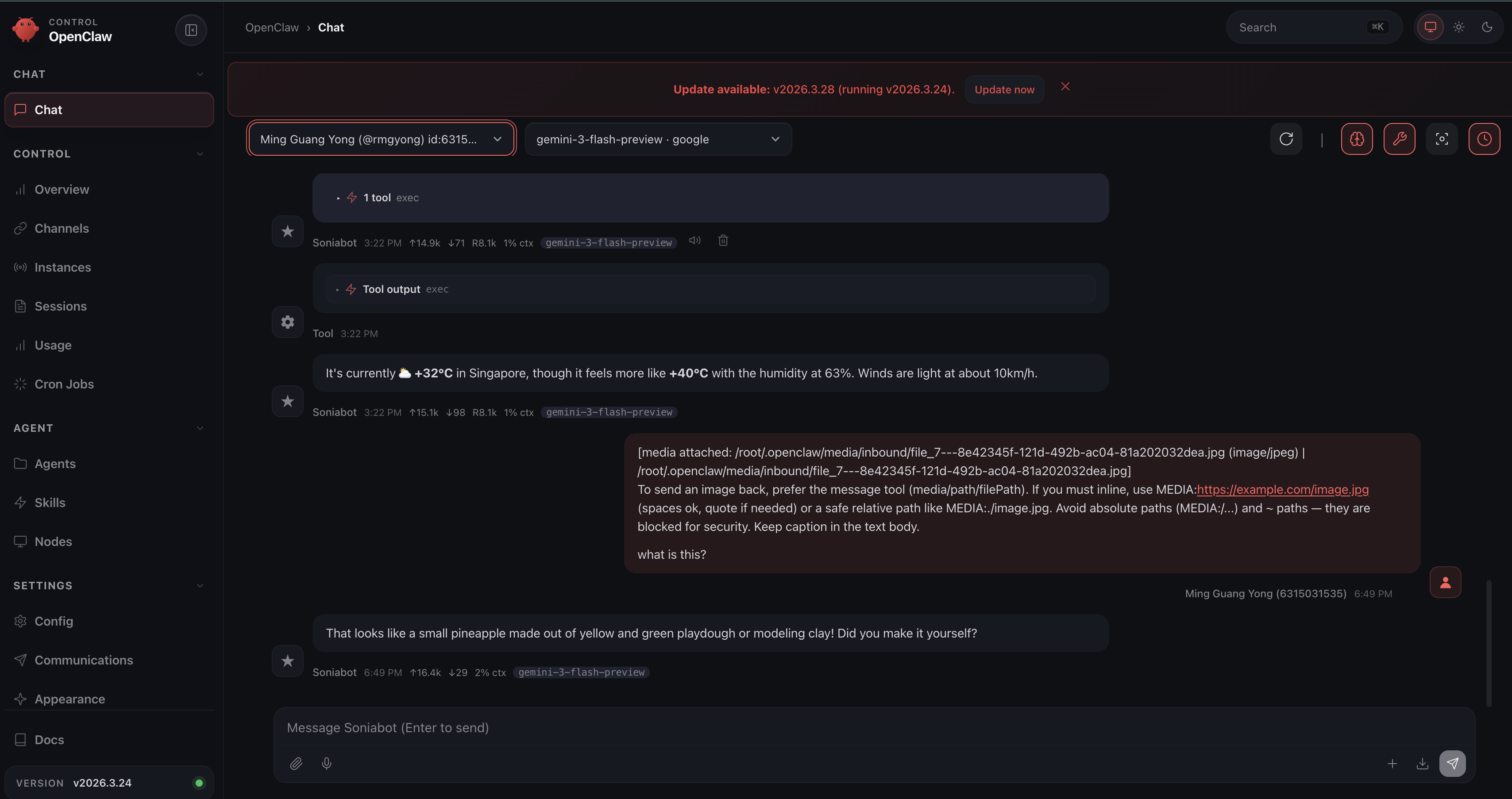 OpenClaw Web UI Chat tab